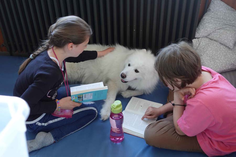 Unsere Schulhündin Kyra an der SBBZ Seeäckerschule Calw-Stammheim
