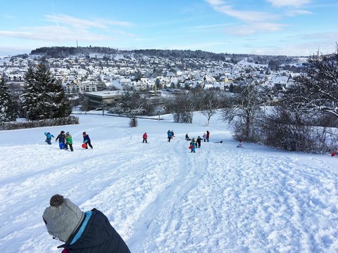 Spaß im Schnee für die Klassen 1-4 (30.01.19) | Aktuelles | SBBZ Seeäckerschule Calw-Stammheim