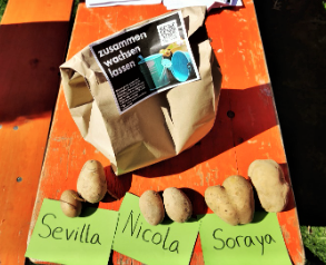 Mit unseren Garten-AG im Schulgarten der Seeäckerschule, 2023.