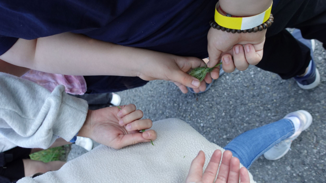Kräuter hinter dem Rücken erfühlen