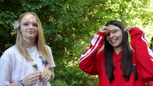 Schafgarbe heißt auch Augenbraue der Venus