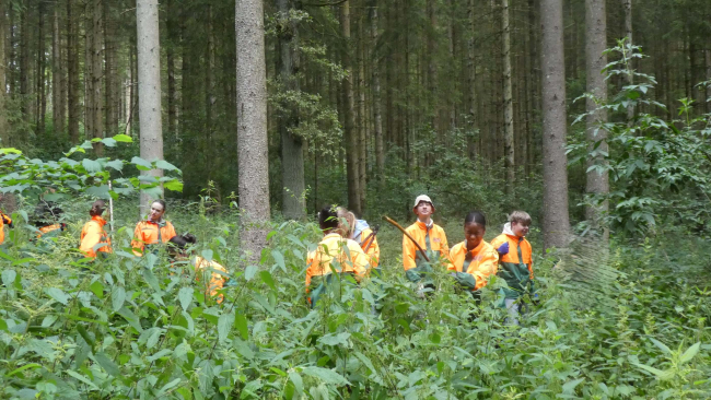 beim Arbeiten im Wald