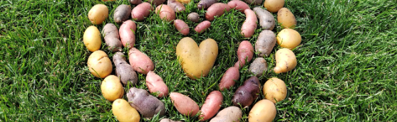 Mit unseren Garten-AG im Schulgarten der Seeäckerschule, 2023.